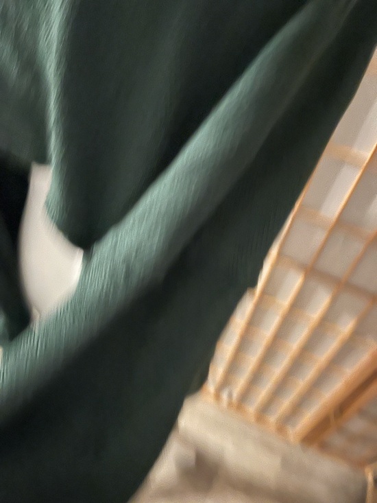 Free People Beach Alyria Solid Pullover Med Cutout Tie Sweatshirt Green Sweater - Picture 6 of 7